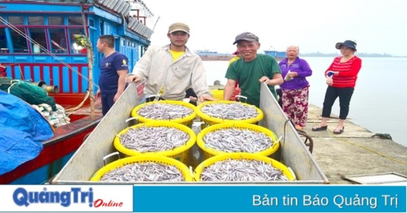 Hình ảnh ngư dân Đà Nẵng đang kéo lưới hoặc bốc dỡ hải sản tươi từ thuyền lên bờ